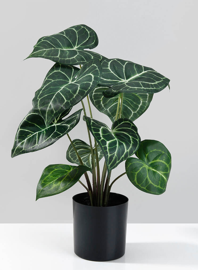 https://www.jamaligarden.com/cdn/shop/files/potted-fake-anthurium-plant_MIC-XYA120V_mag_0APY_View.jpg?v=1741107896&width=1500