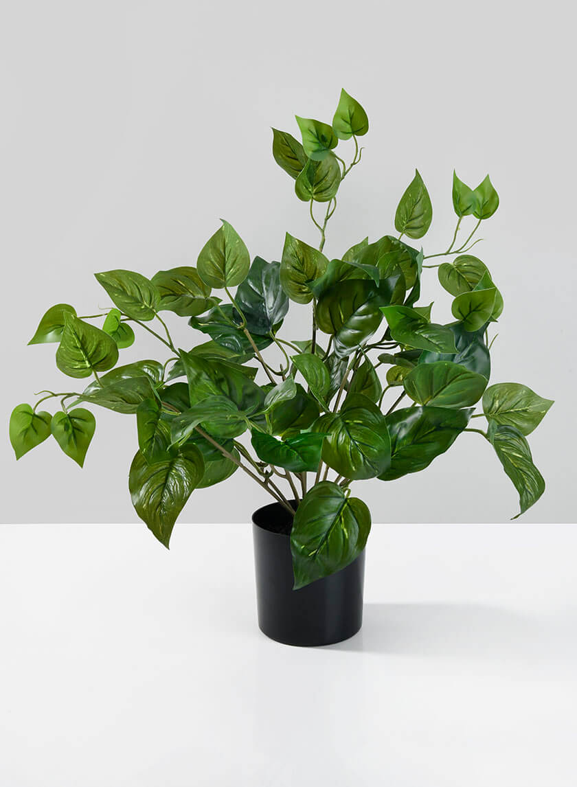 artificial golden pothos plant 16.5in Tall Potted Pothos