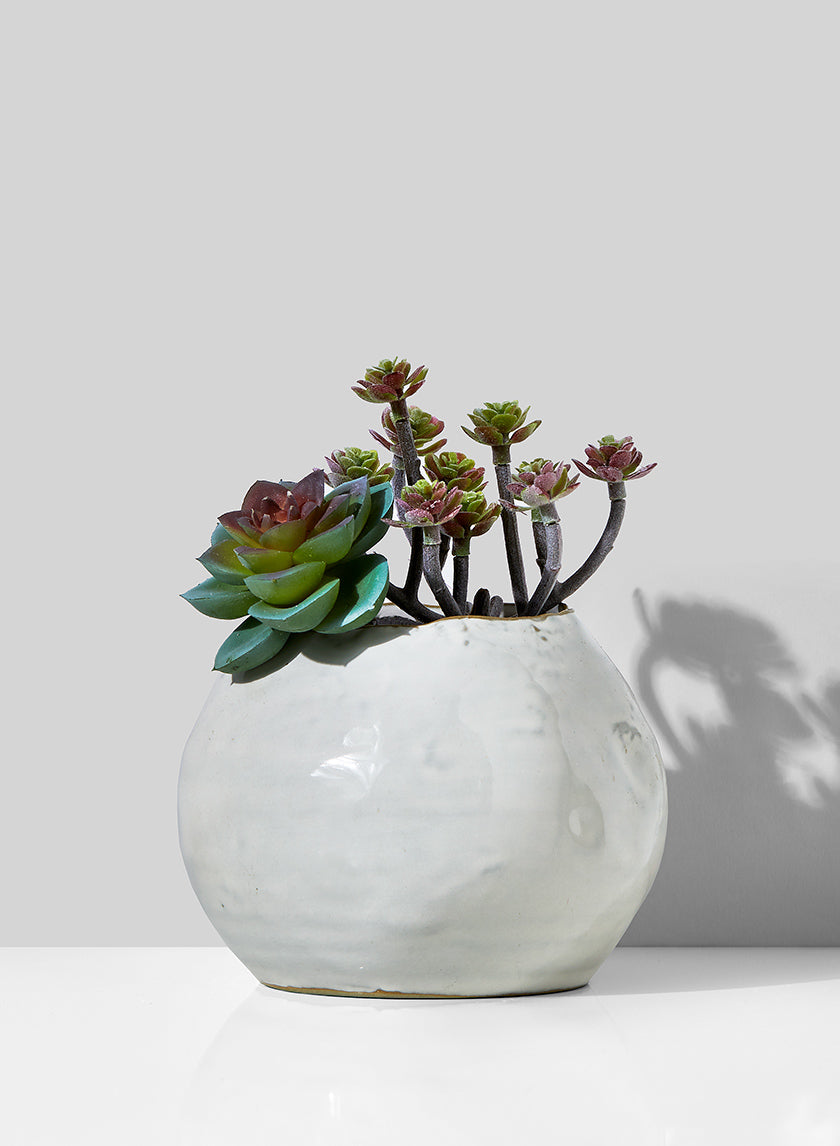 bulk plant pots ceramic 5in Wide Glazed Ceramic Potter's Bowl – Jamali Garden