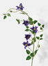 48in Long Purple Clematis Spray, Case of 12 Decor Jamali Garden