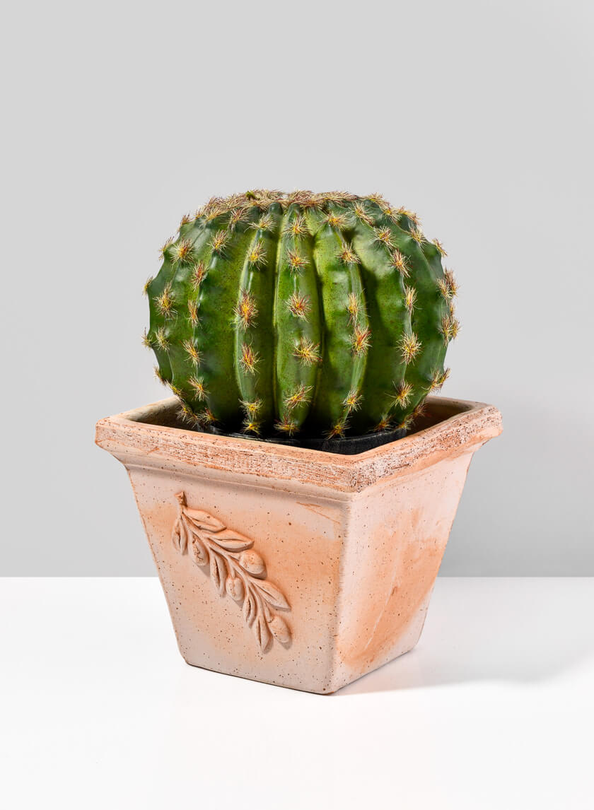 terracotta square plant pots Jamali Garden | Square Quadra Olive Pot – 7.75in Tall
