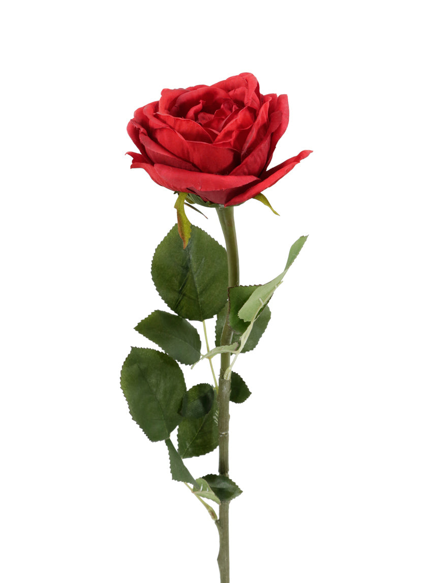 27in Long Red Cabbage Rose, Case of 12 – Jamali Garden