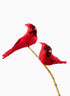 Cardinals, Case of 6 Decor Jamali Garden