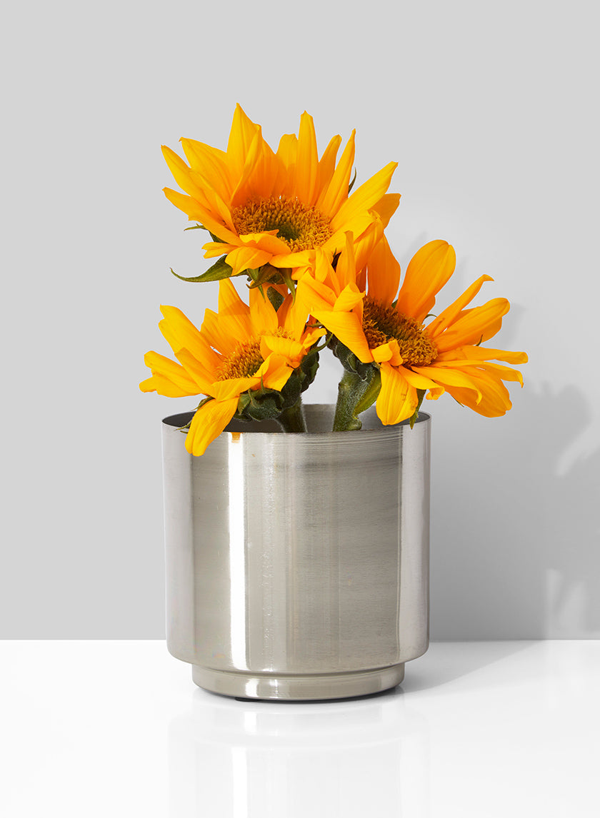 silver garden plant pots 4in Tall Silver Steel Vase – Jamali Garden
