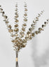 26in Long Champagne Eucalyptus Pick Decor Jamali Garden
