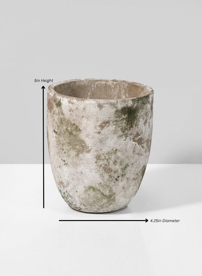 Sturgeon Moon Aged Cement Planter Decor Jamali Garden Cement/Moss 5in Height - 4.25in Diameter EACH