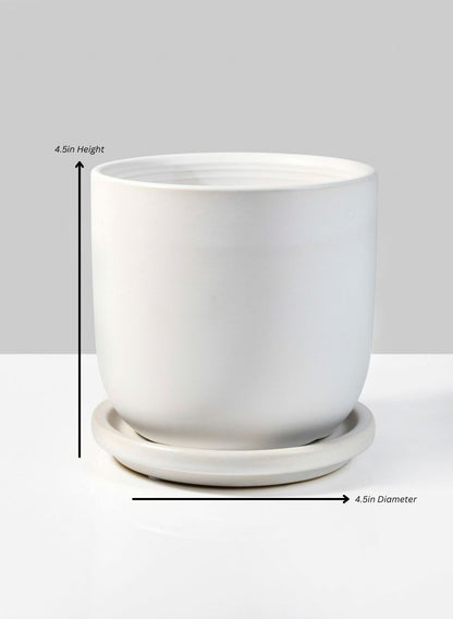 Marble Aeon Ceramic Pot &amp; Saucer Decor Jamali Garden White 4.5in Height - 4.5in Diameter EACH