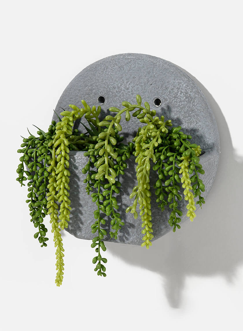 artificial trailing succulent plant Purchase Artificial Burro Tail Succulent