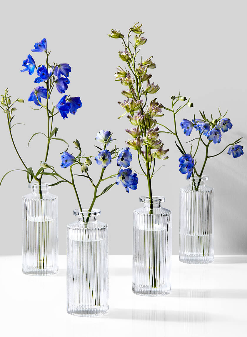 succulents in tall glass vases 5.25in Tall Clear Pleated Glass Bottle Bud Vase, Set of 4 – Jamali Garden