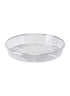 Transparent Saucers Decor Jamali Garden