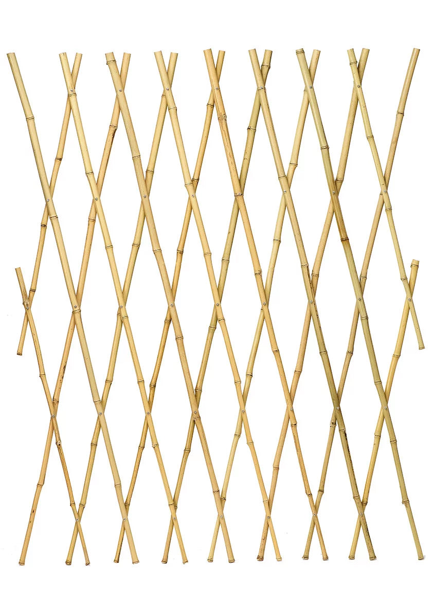 expandable plant trellis Bamboo Expanding Trellises