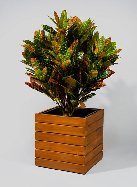 vuong-acacia-wood-square-