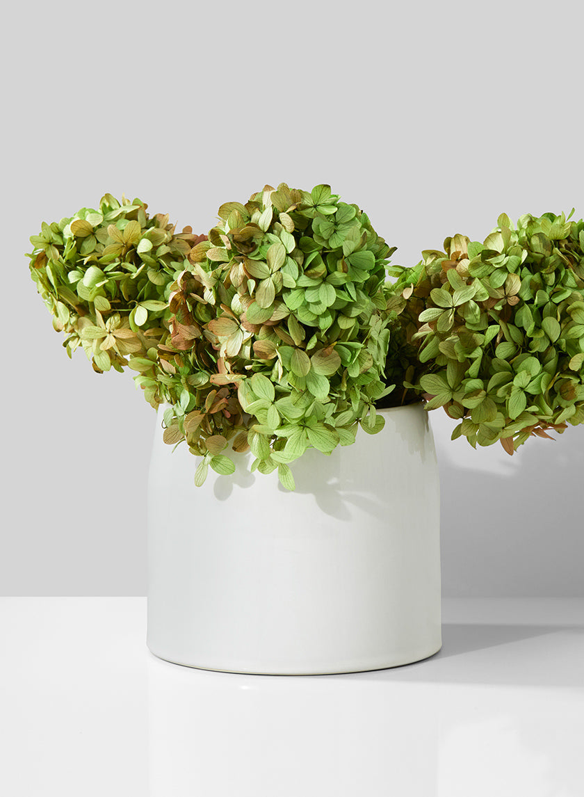bulk ceramic flower pots 5.25in Tall White Ceramic Potter's Bowl – Jamali Garden