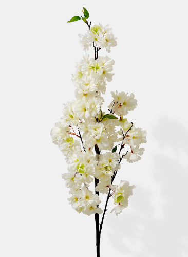 Artificial white cherry blossom branch on a white background
