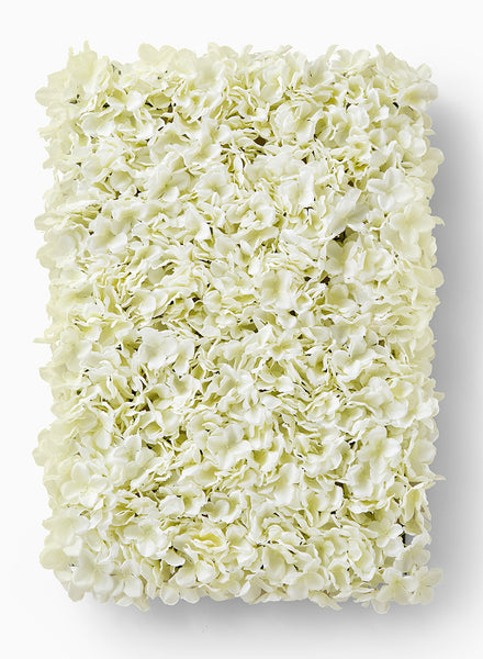 white-hydrangea-block-wedding-