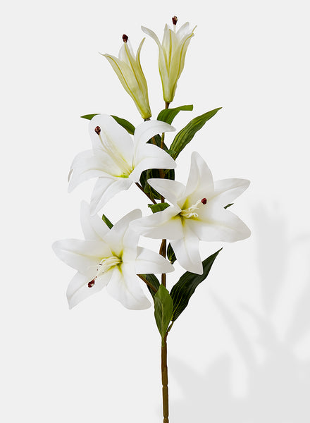 white lily limited 39in Long White Lily Spray, Case of 12 – Jamali Garden