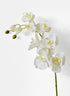 43in Long White Phalaenopsis Orchid Spray, Case of 12 Decor Jamali Garden