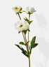 25.5in Long White Princess Peony, Case of 12 Decor Jamali Garden