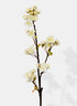 30in Long White Quince Spray, Case of 12 Decor Jamali Garden