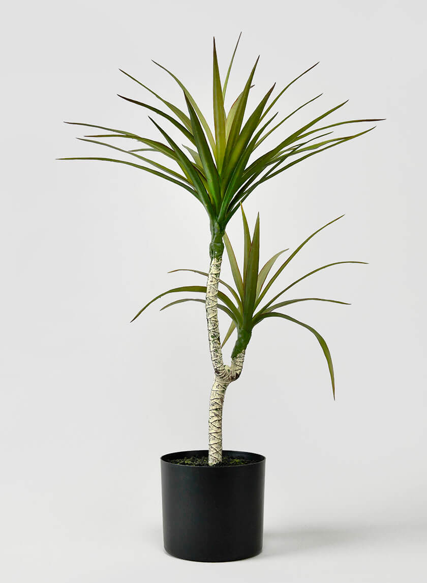 black pot fake plant 28in Tall Long Yucca Tree