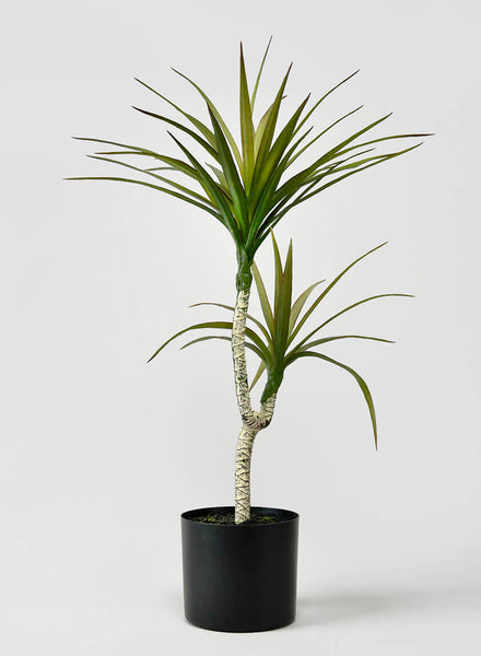 Yucca Tree Artificial Fake Plant in Black Pot Home Display Set
